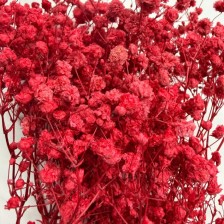 FLORES SECAS 0002          